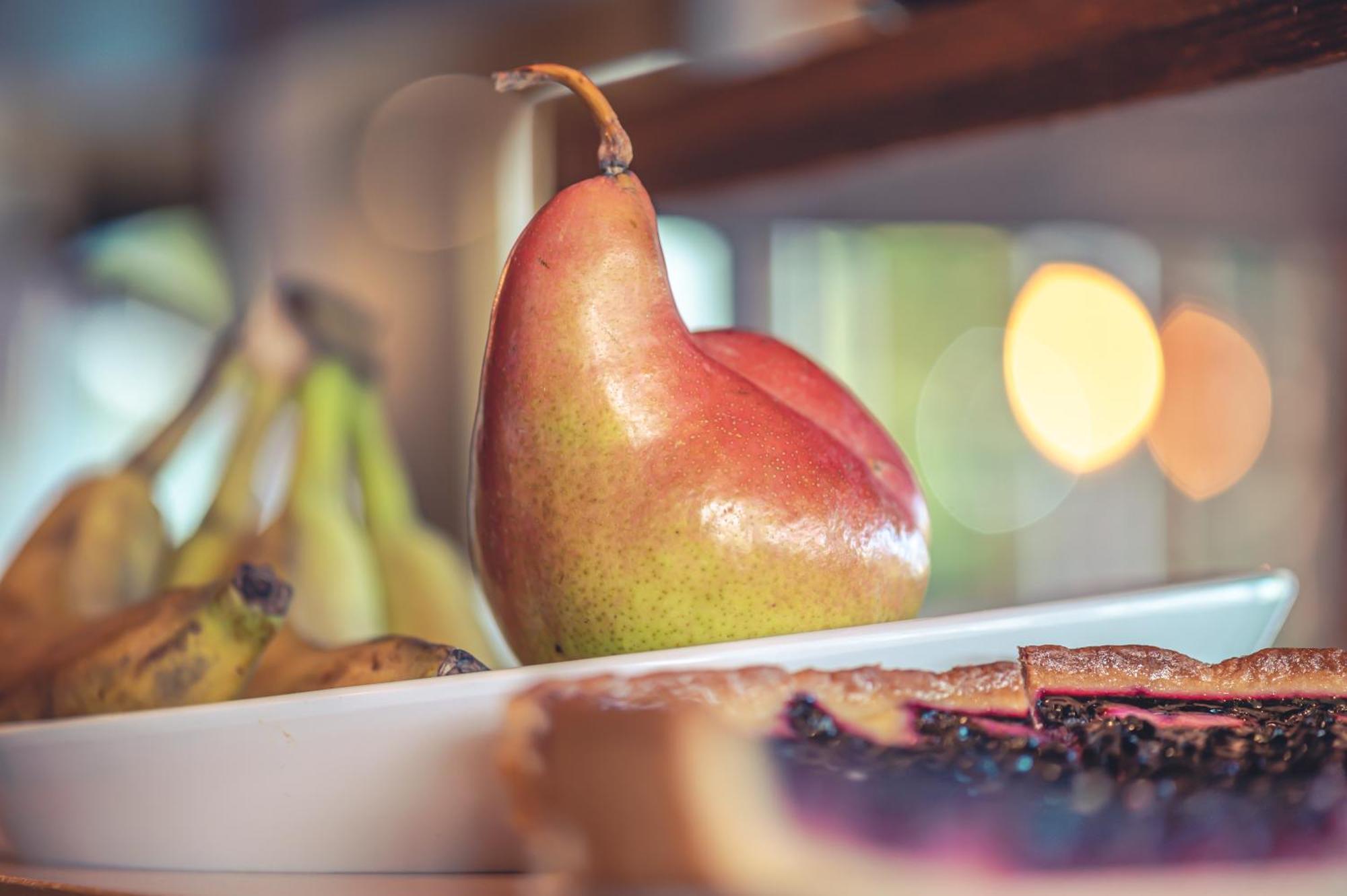 Logis Hotel Restaurant Le Plantevin Propiac Ngoại thất bức ảnh